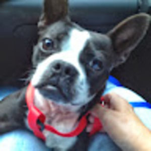 Meet your Posher, Janet